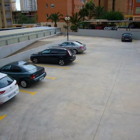 Paraiso Esperanto - Arena