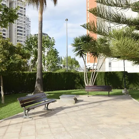 Paraiso Esperanto - Arena *